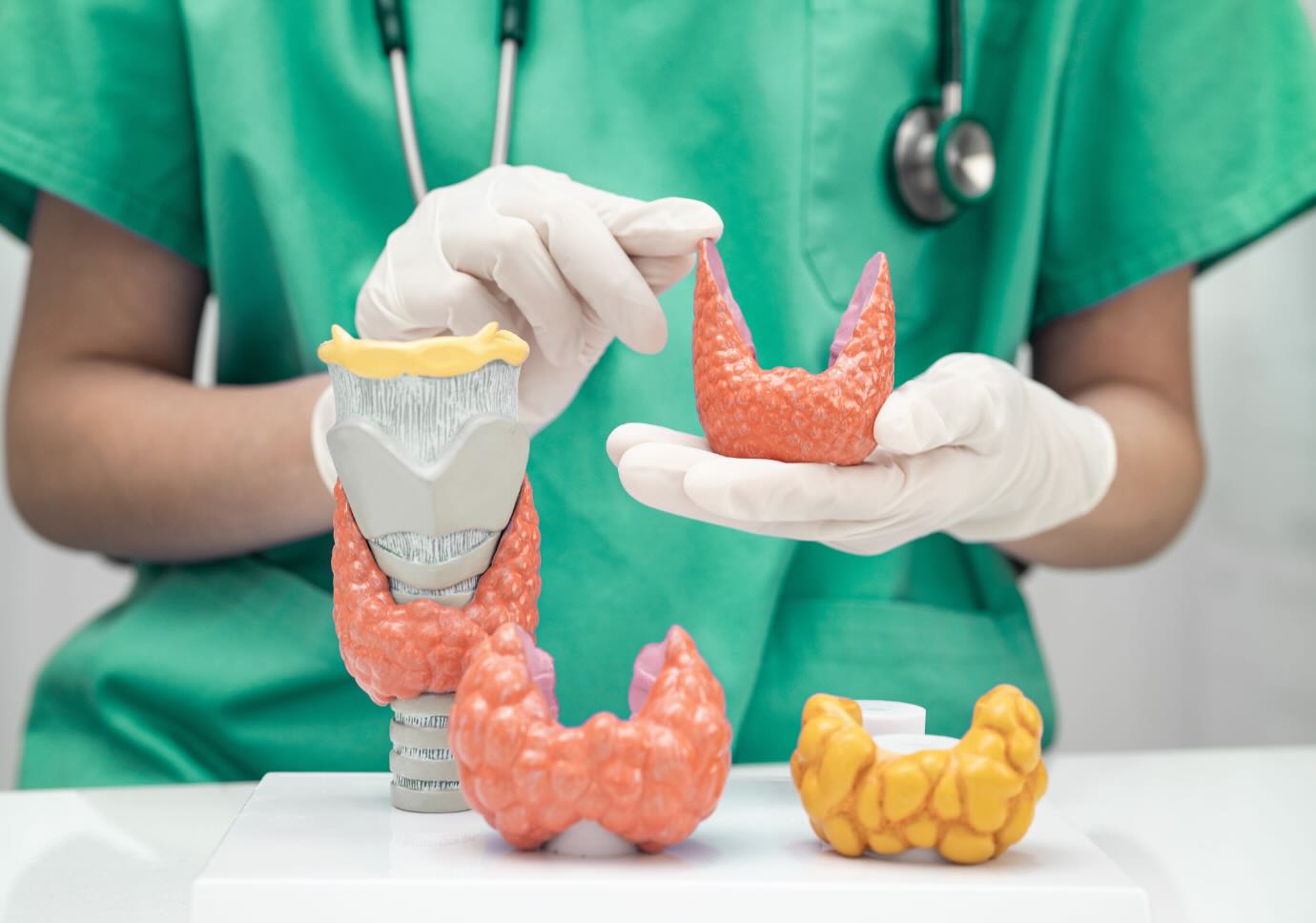 ENDOCRINOLOGÍA
